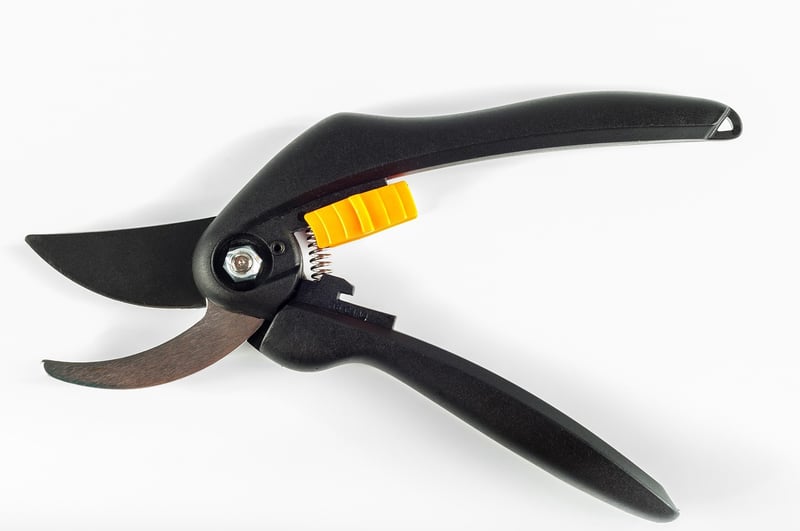Pruning